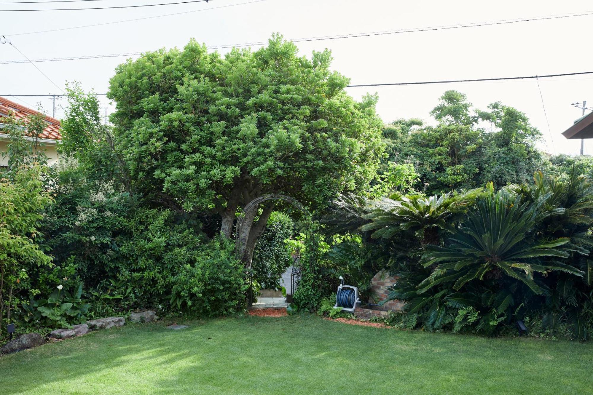 Malama Monstera 6名 Bbq ペット可 ビーチ ゴルフ 芝生の庭 観葉植物 リラックス Ferienhaus